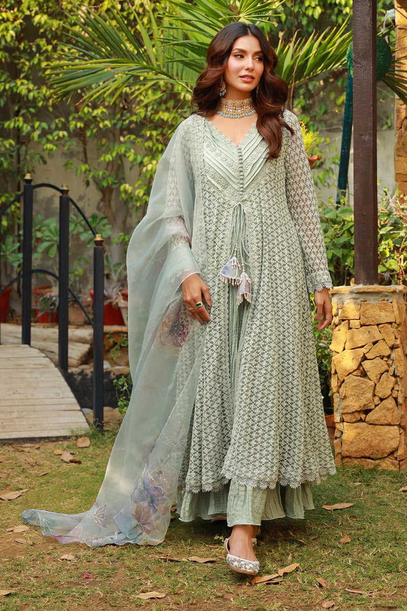 Sage Green | Exclusive Pakistani women dresses Collection XXL Sage Green | Exclusive Pakistani women dresses Collection XXL