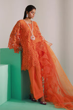 Marigold