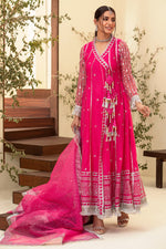 Lux Fuscia Kalidar Angrakha