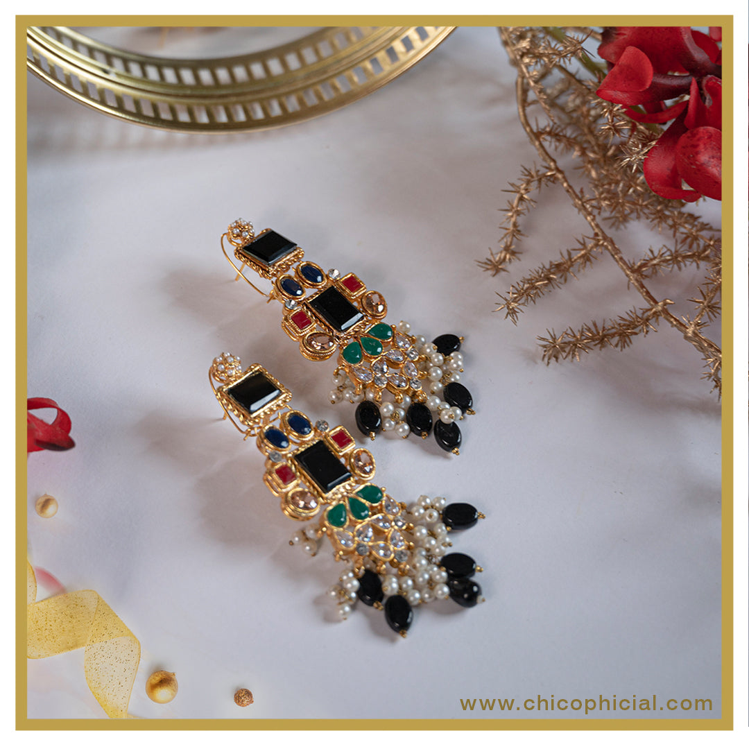 Mega Black Multi color earrings