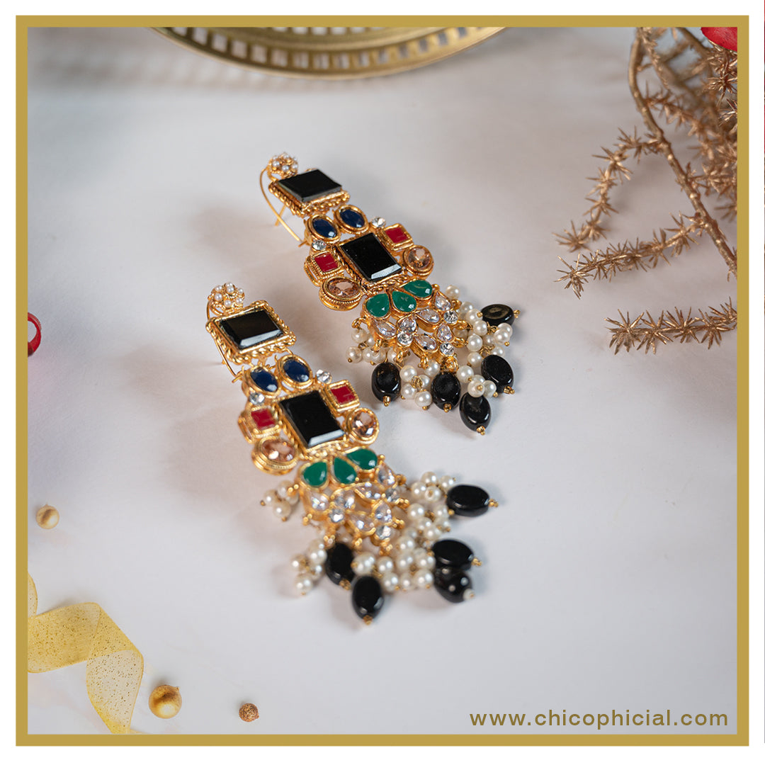 Mega Black Multi color earrings