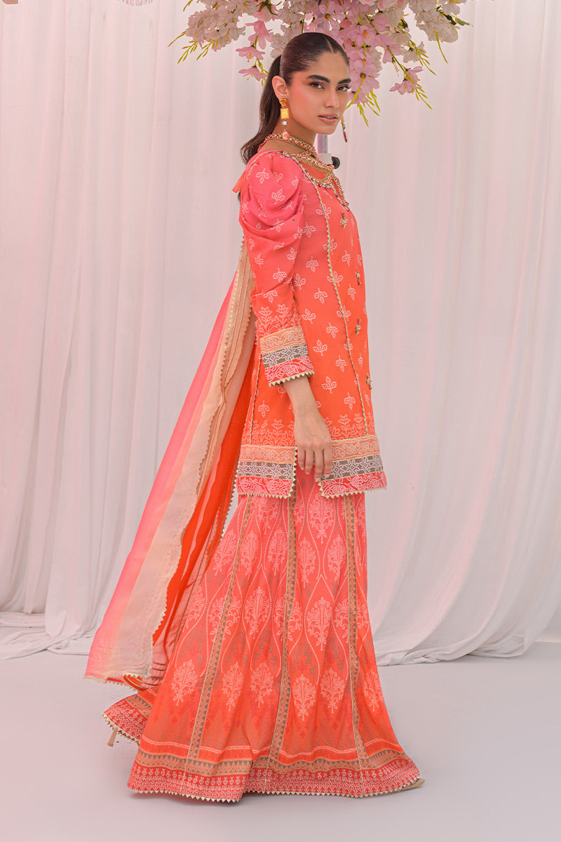 Coral Glow