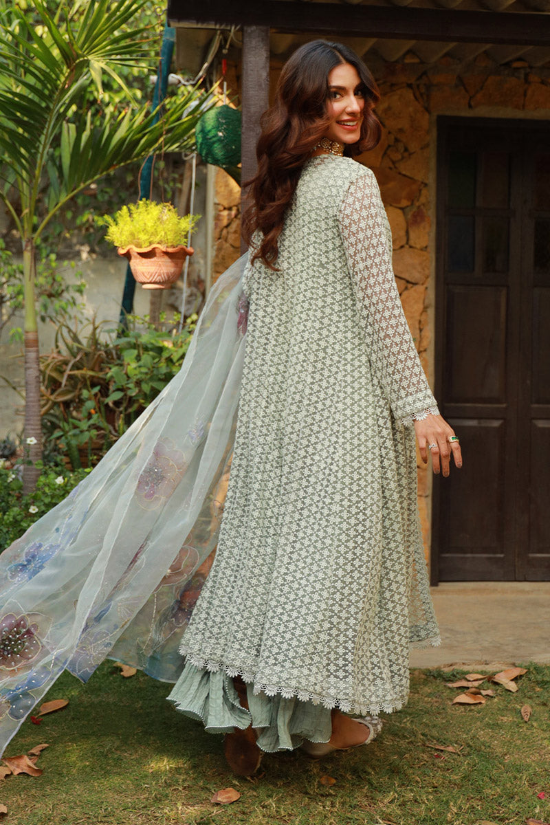 Sage Green | Exclusive Pakistani women dresses Collection XXL Sage Green | Exclusive Pakistani women dresses Collection XXL