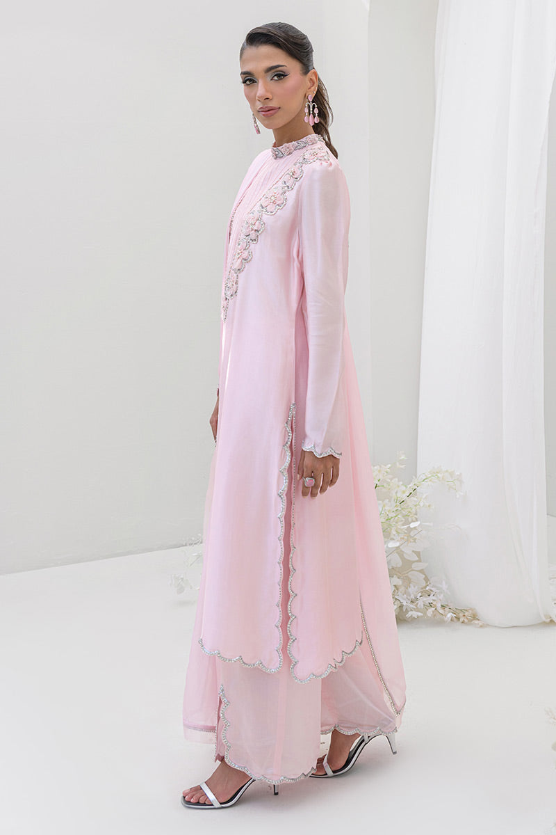 Blush Petal